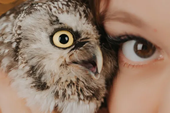 Cazino Lucky 31 Cazinou Suport